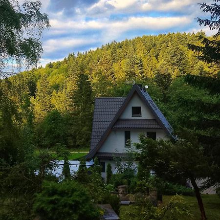 Zaciszny Zakatek Zawoja Apartment Luaran gambar