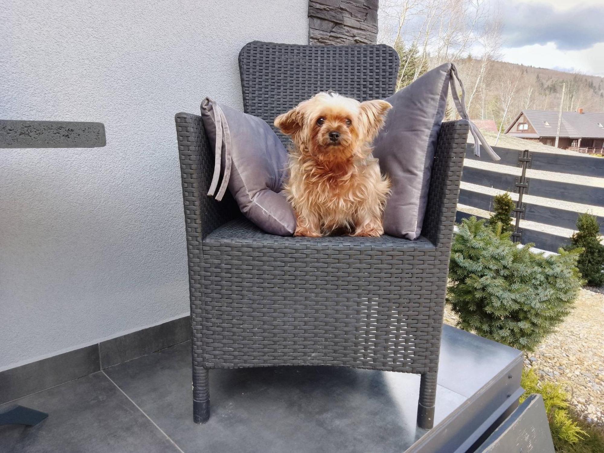 Zaciszny Zakatek Zawoja Apartment Luaran gambar